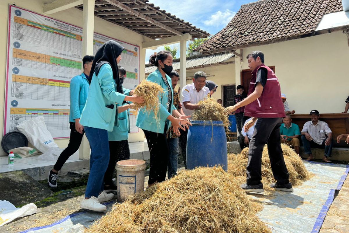 SocioFarm latih  petani Sragen ciptakan pakan fermentasi