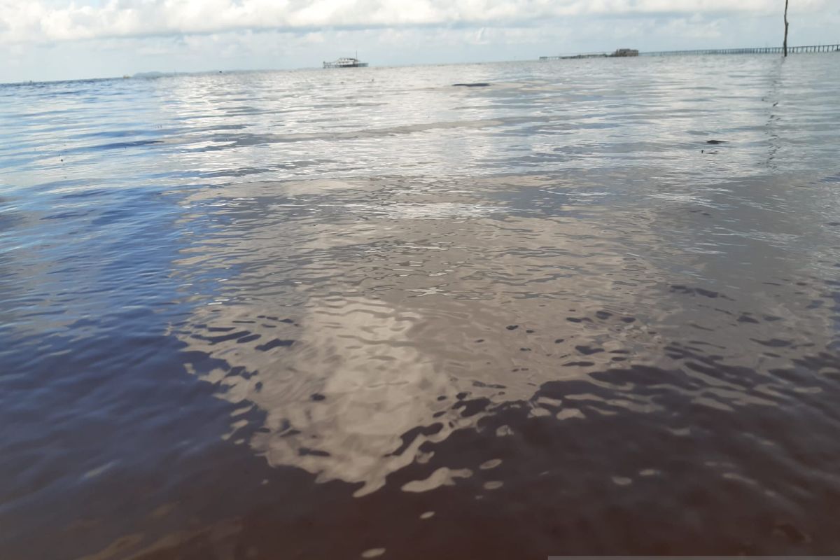 Pantai Trikora Bintan tercemar limbah sehingga berwarna coklat