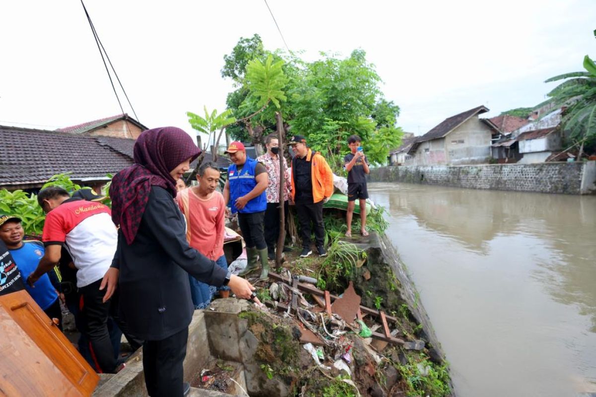 Banyuwangi lakukan penghijauan daerah tangkapan hujan tangani banjir