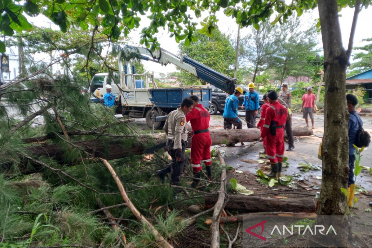 BPBD Bengkulu Utara imbau masyarakat waspada siklon tropis Freddy