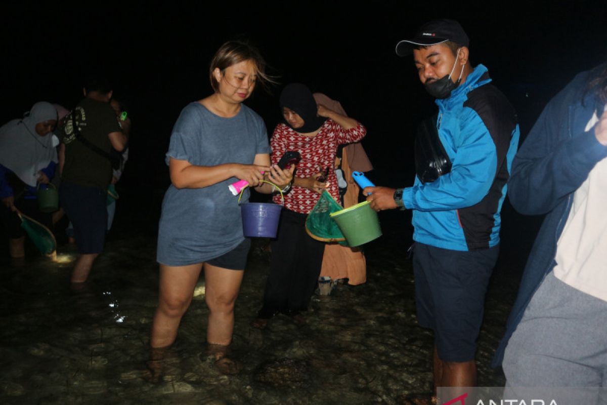 Lombok tawarkan festival Bau Nyale di pantai Gili Trawangan