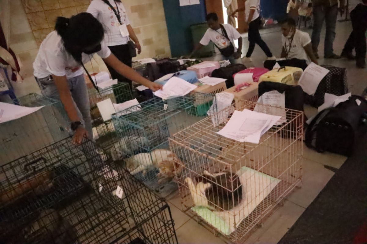 Balikpapan vaksinasi rabies gratis buat anjing dan kucing