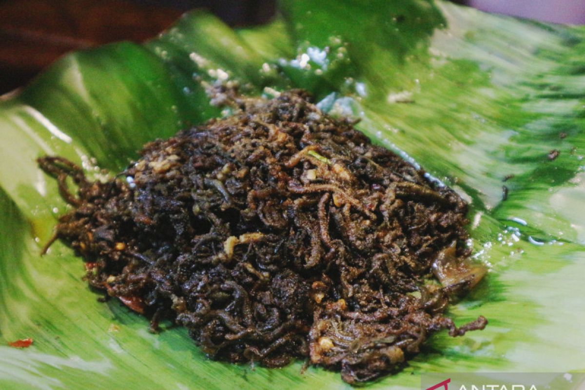 Hidangan "nyale" kuliner khas Lombok, hanya ada sekali dalam setahun