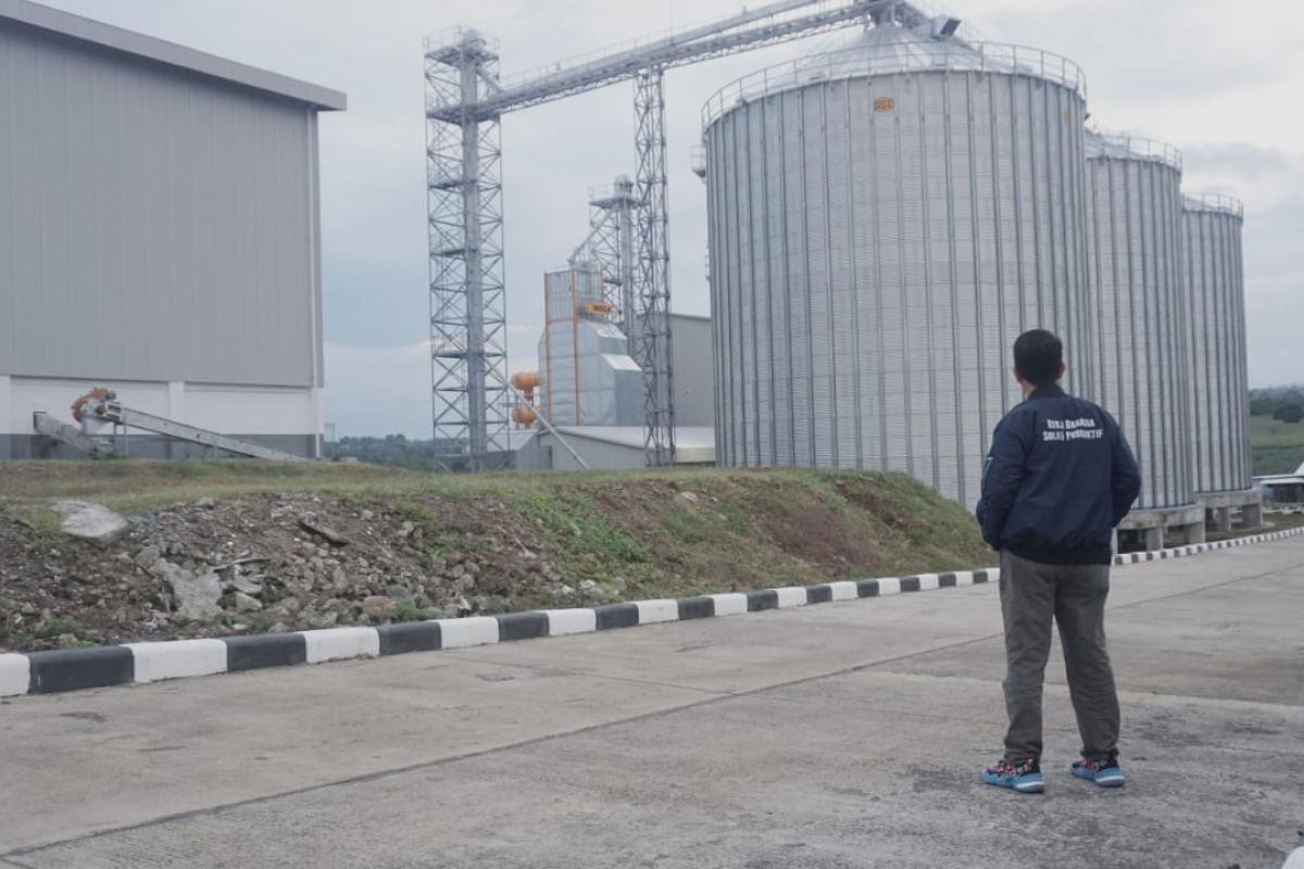 Perum Bulog NTB targetkan beli jagung petani 10.000 ton