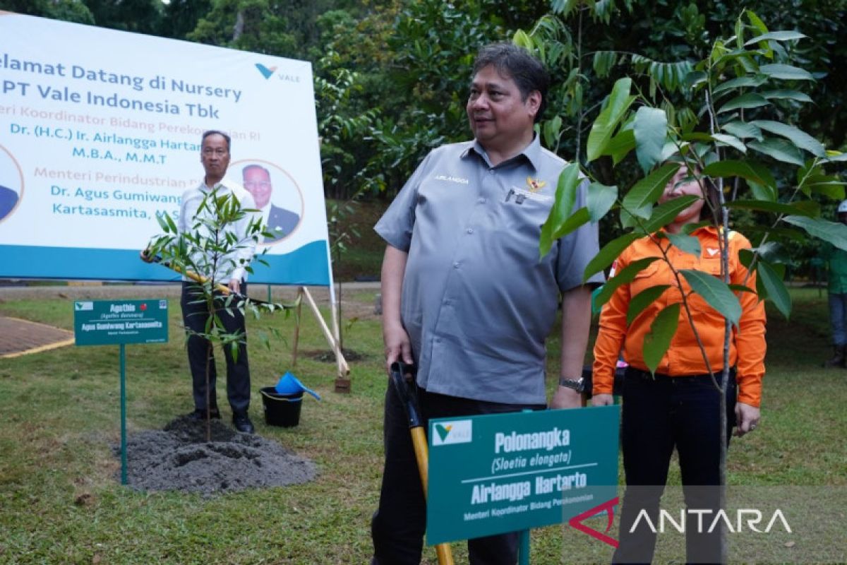 Menko Perekonomian: PT Vale bisa jadi Percontohan penambangan nikel