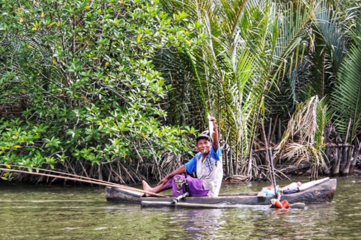 PTAR Tambang Emas Martabe gali potensi ekonomi di hutan mangrove Tapteng