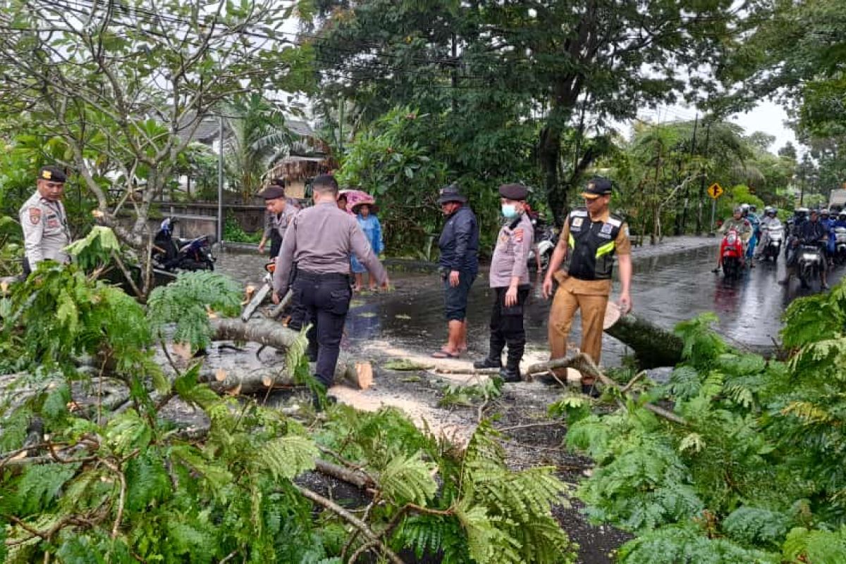 BPBD Mataram imbau masyarakat waspada cuaca ekstrem