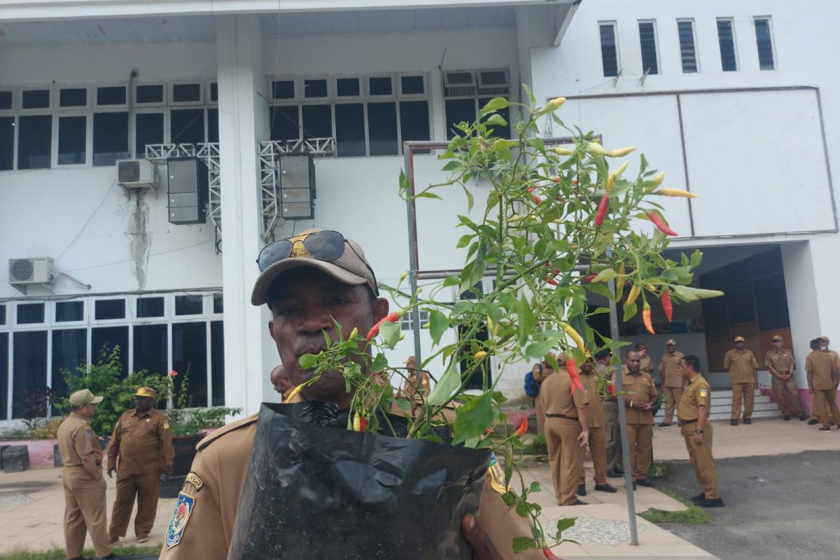 Pemprov Papua mendorong ASN tanam cabai di pekarangan rumah