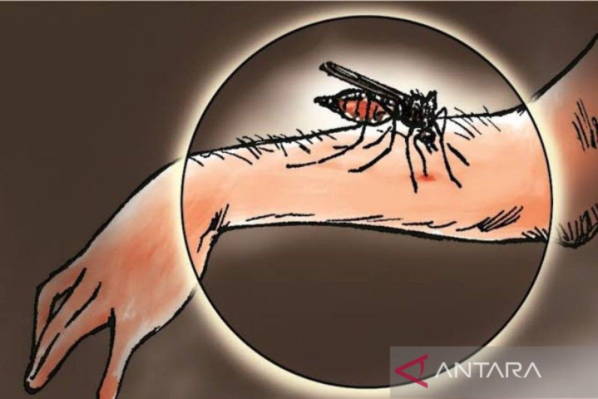 Dinkes: Aktivitas tambang timah di Babel picu peningkatan malaria