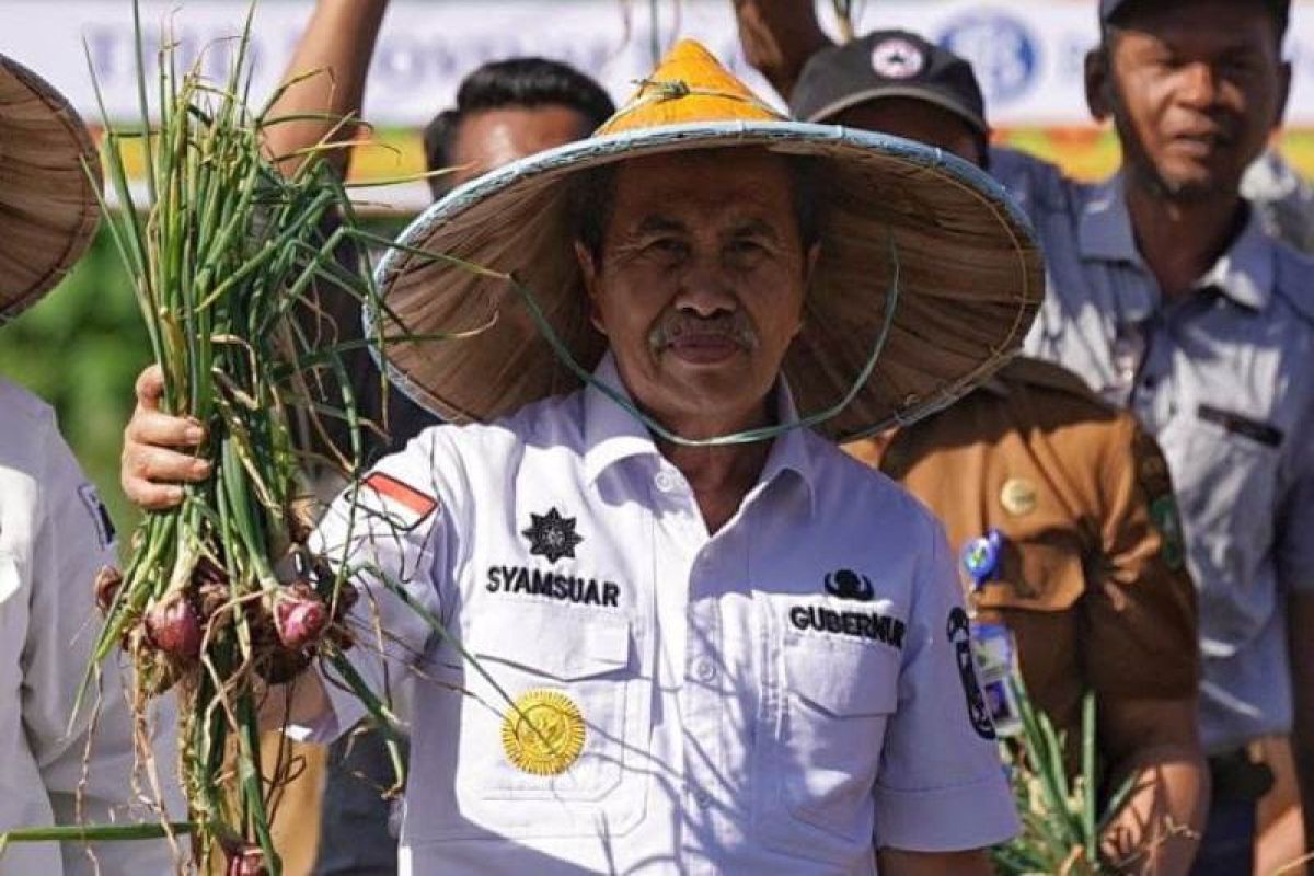 Pemprov Riau mendukung ketahanan bawang merah di wilayahnya