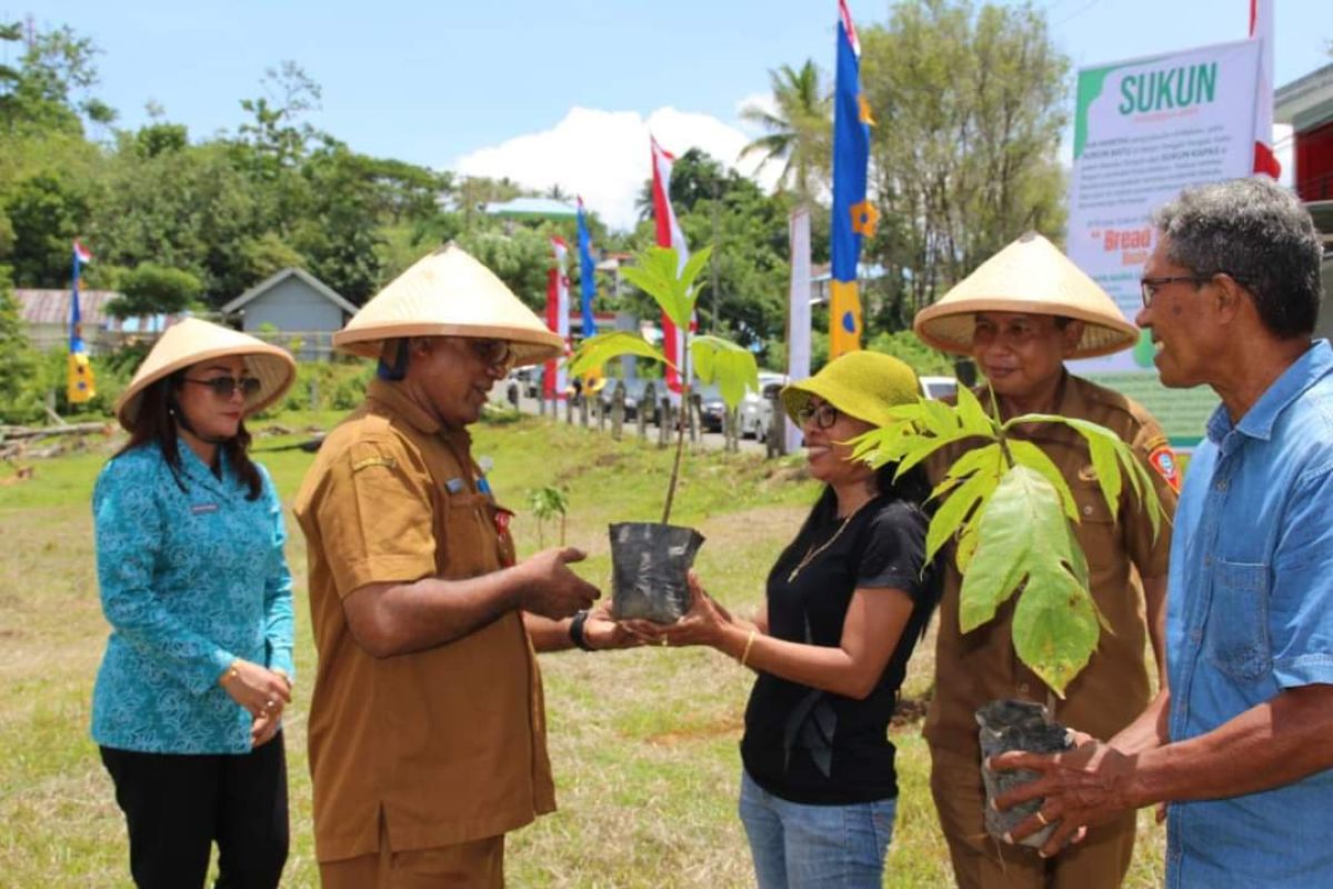 Pemkot Ambon siapkan 200 anakan pohon sukun dukung gerakan  penanaman bersama