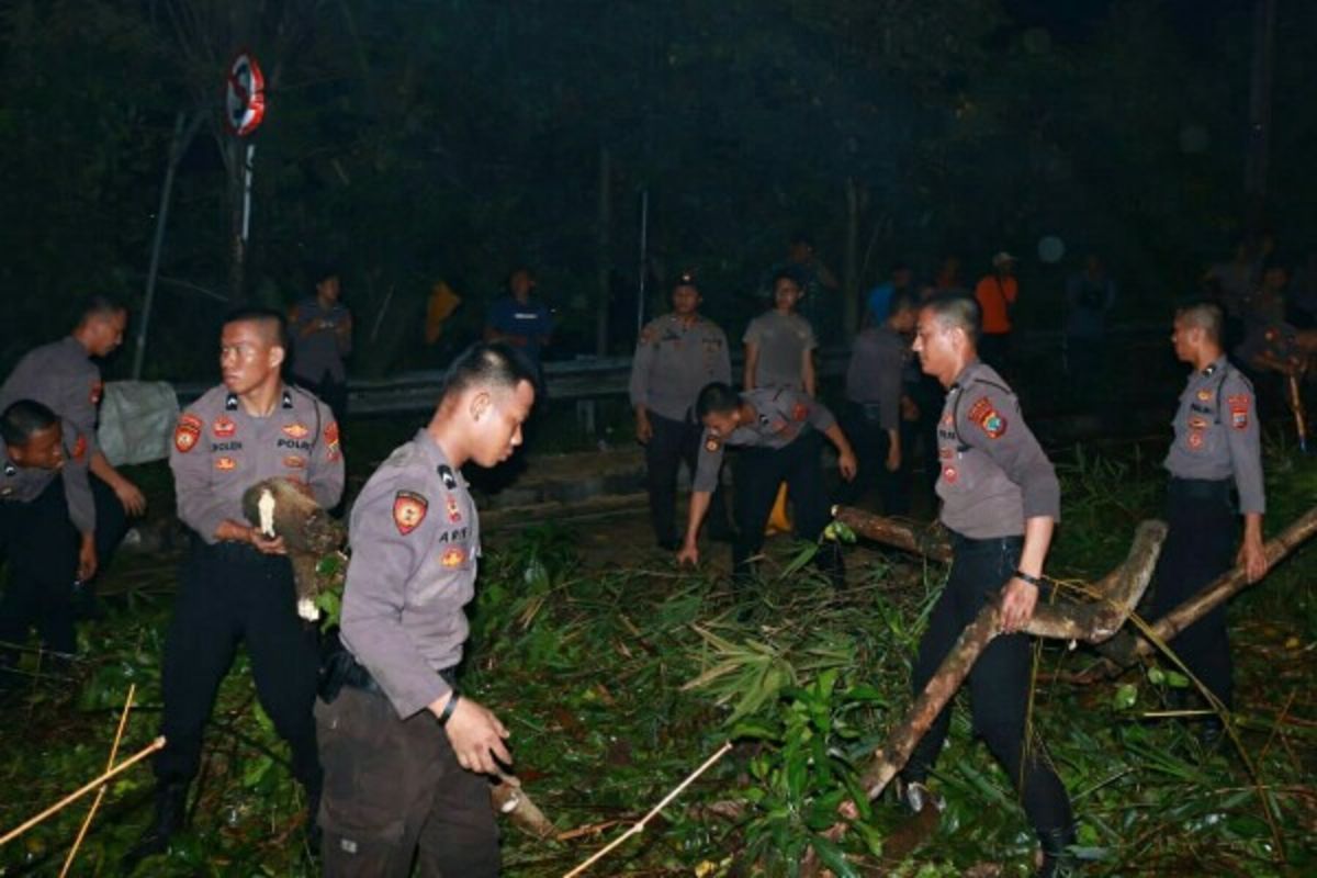 Samapta Polda Sulut evakuasi pohon tumbang di Jalan Lumimuut Manado