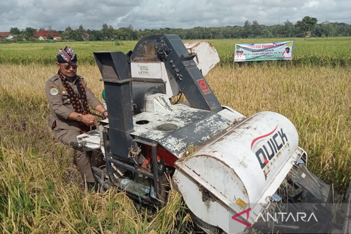 Mentan : Panen padi semua daerah makin masif