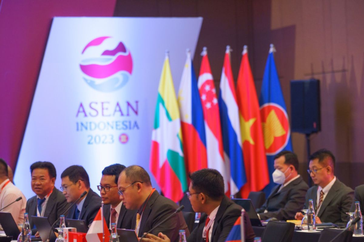 Bea Cukai Bahas Audit Kepabeanan dan Pentingnya Sinergi Otoritas Kepabeanan dan Pajak di 33rd ASEAN CECWG Meeting