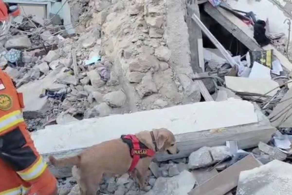 Indonesian police dogs help search for Turkey quake victims