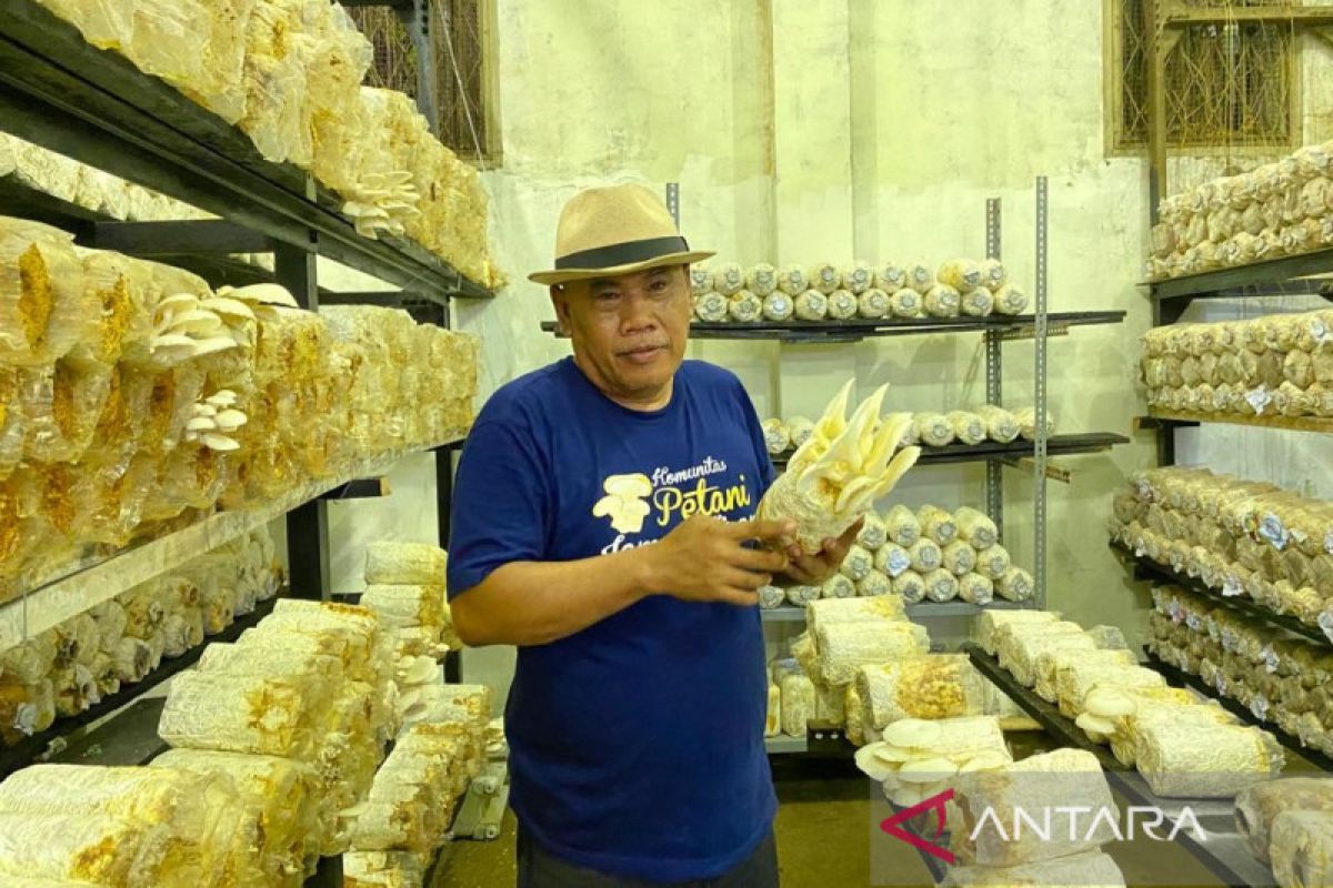 Menanam ketahanan pangan di Jakarta Selatan