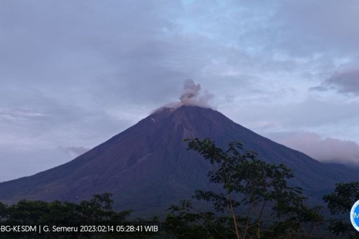 Gunung Semeru kembali erupsi dengan tinggi letusan 800 meter