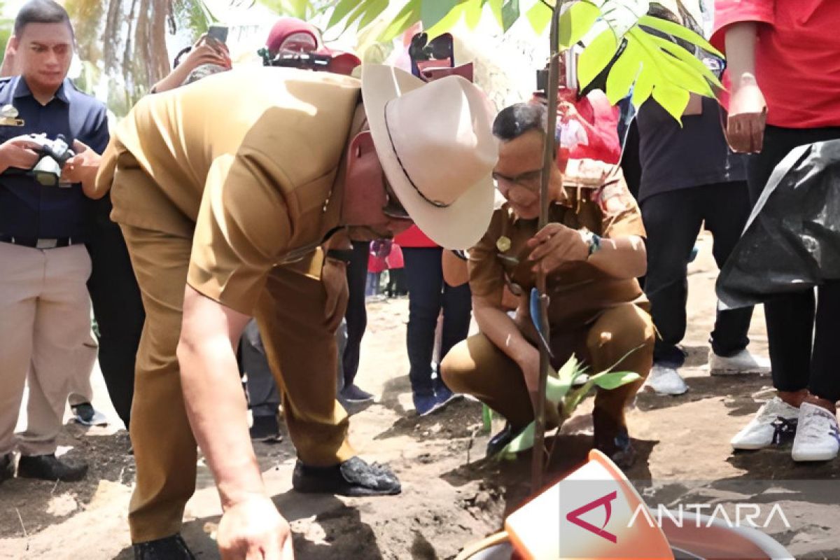 Gubernur Maluku menggalakkan tanam sukun untuk kemandirian pangan