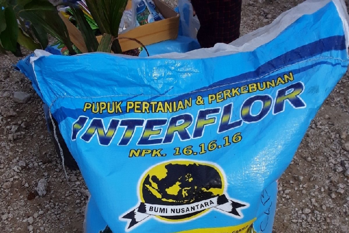 Pemkab Biak Numfor bantu 1 ton bibit kacang hijau untuk warga di Numfor