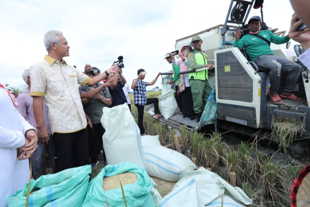 Gubernur Ganjar  ajak petani milenial tingkatkan produksi padi