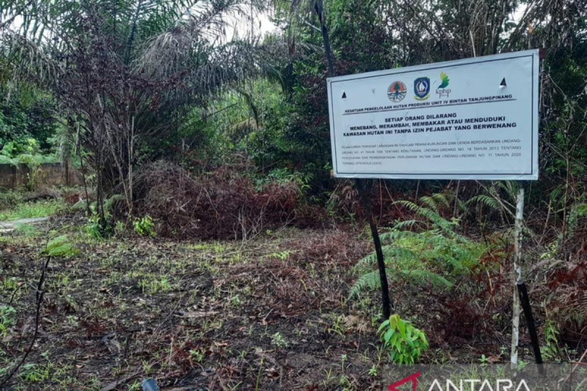 KLHK tetapkan sanksi denda ke salah satu perusahaan sawit di Bintan