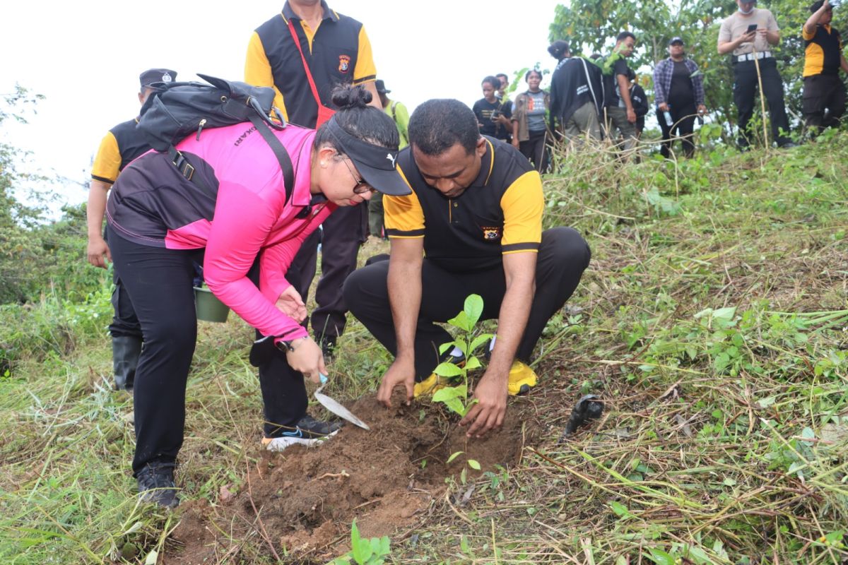 Polres Jayapura menanam 500 pohon di cagar alam Cycloop Sentani