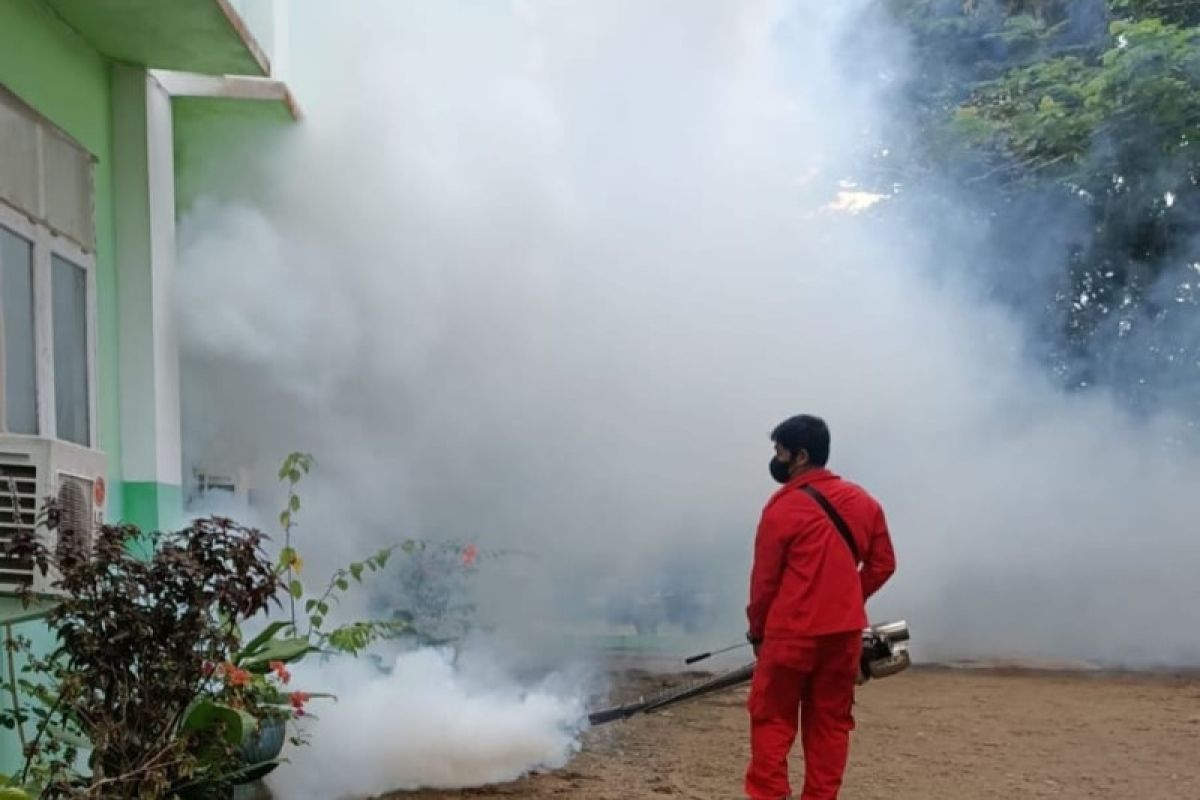 Tiga lokasi terjangkit DBD di Paser dilakukan fogging