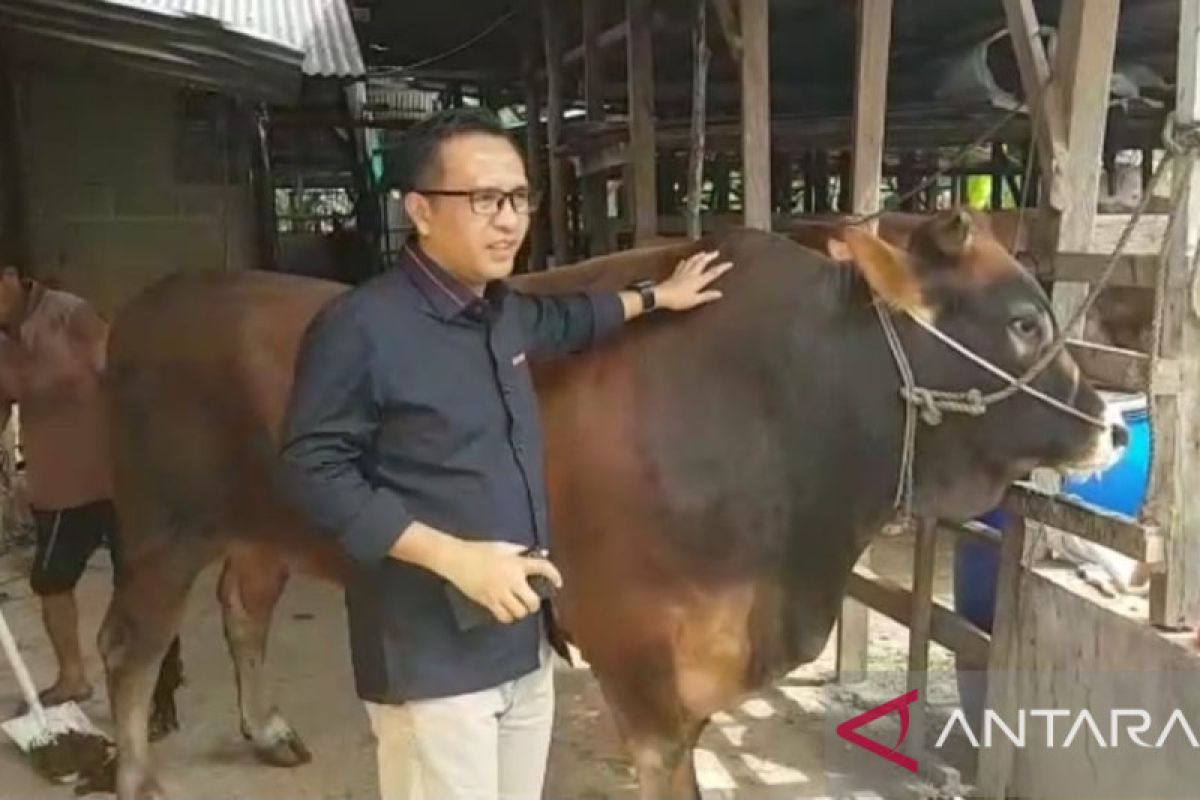 DPRD Kepri apresiasi kebijakan pengiriman sapi dari Pulau Sumatera