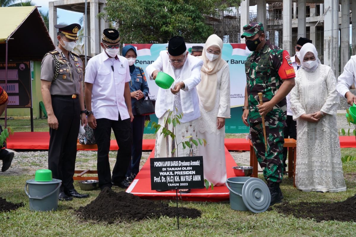 Wapres tanam bibit pohon kapur barus di Sumatra Utara