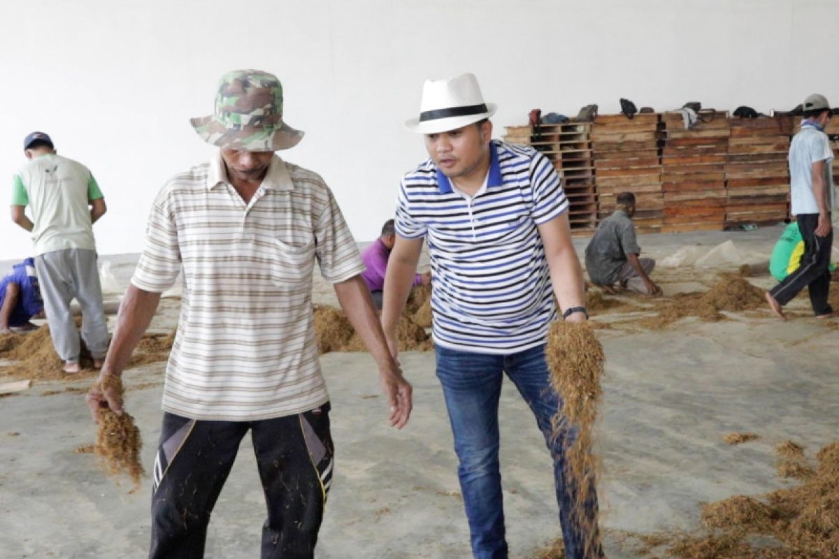 Anggota DPR: RUU Tembakau berpihak kepada petani