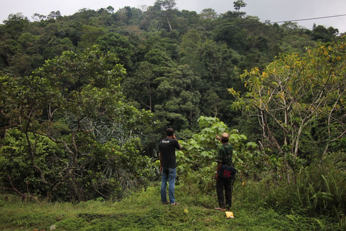 Tiga Mukim di Pidie menanti penetapan hutan adat