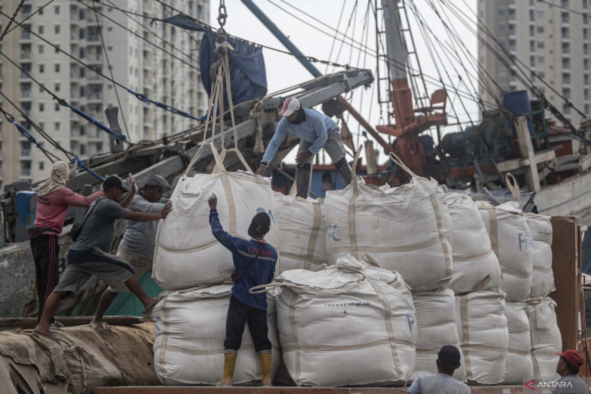 Ekonom proyeksikan kinerja impor RI resilien di angka -15,38 persen