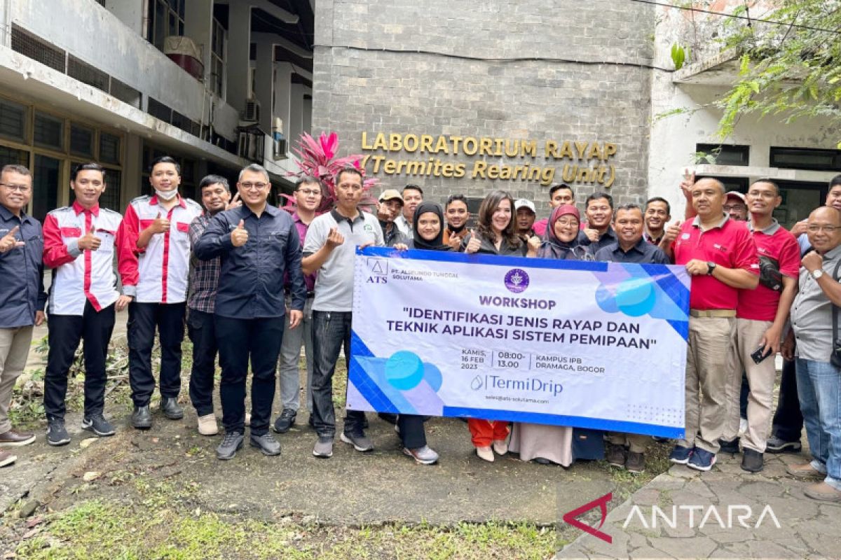 Peneliti bio-ekologi: Tak semua rayap timbulkan kerusakan parah