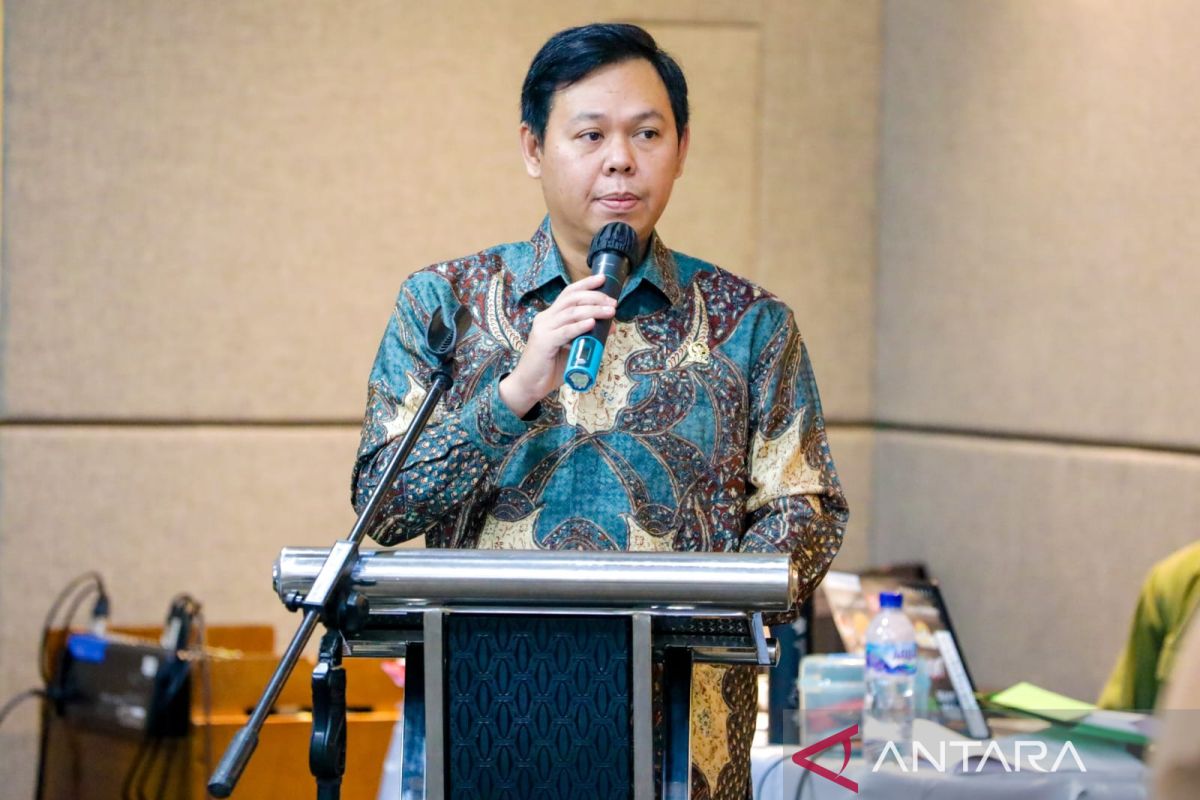 Wakil Ketua DPD RI dorong pemerintah revitalisasi karet alam