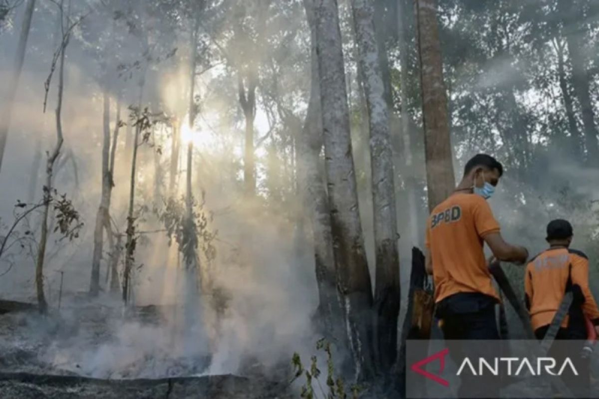 Kemarin, industri smelter nikel hingga mitigasi kebakaran hutan