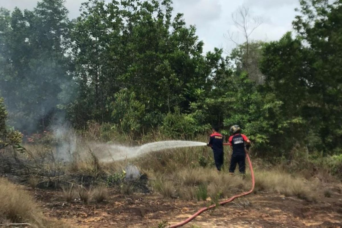 UPTD Damkar Bintan Timur tangani lima karhuta di awal 2023