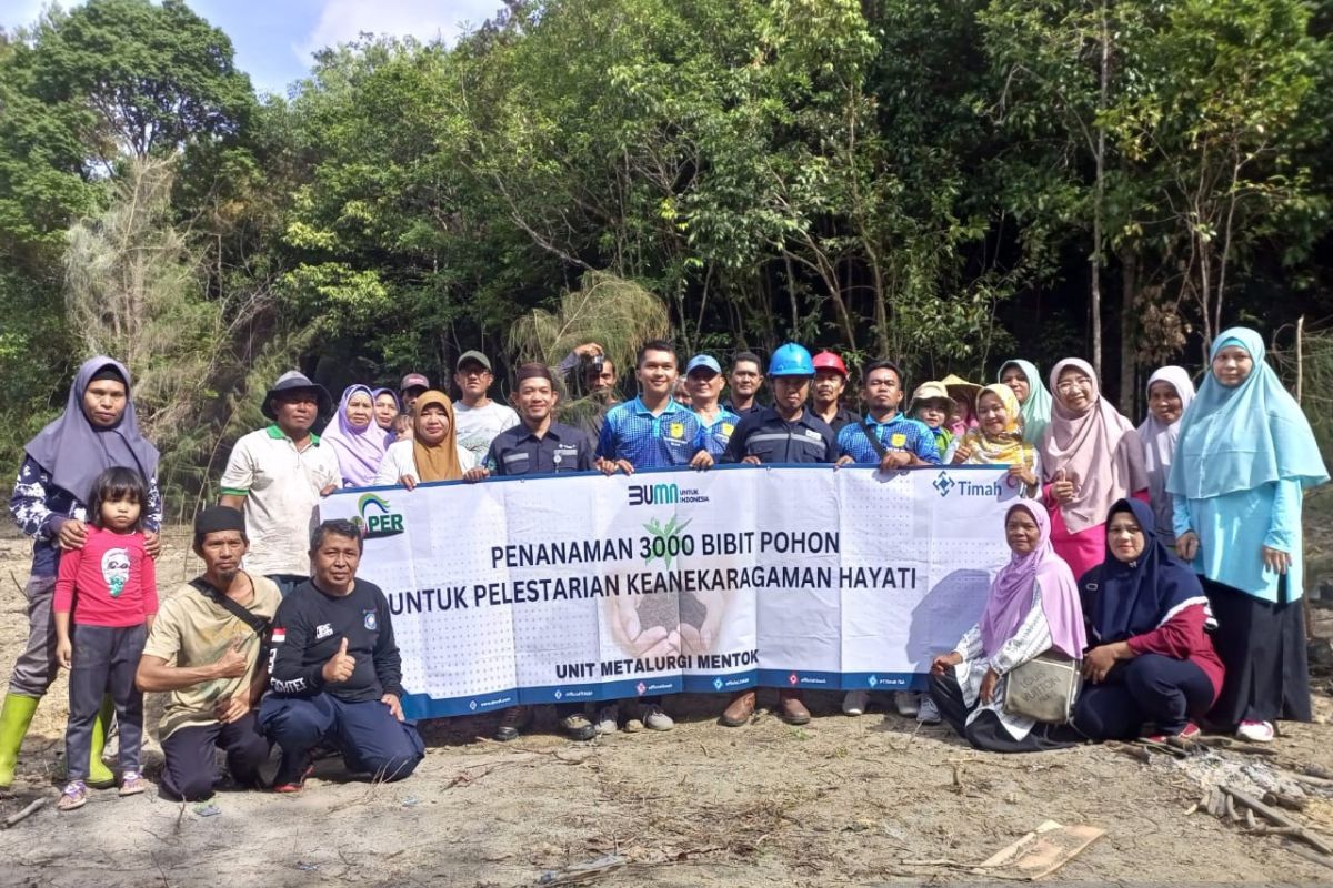 Kawasan Wisata Bukit Kukus Bakal Dibuka Kembali, Pokdarwis Bukit Kukus dan PT Timah Tbk Tanam 3000 Pohon
