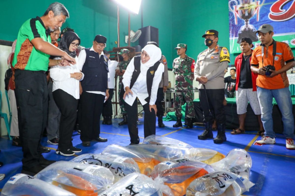Gubernur Jawa Timur dukung pengembangan budi daya ikan koi
