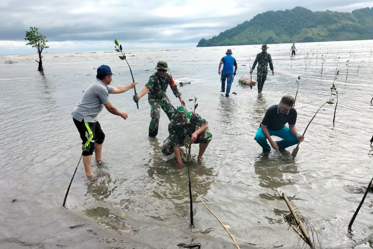 TNI tanam bibit mangrove di Gorontalo