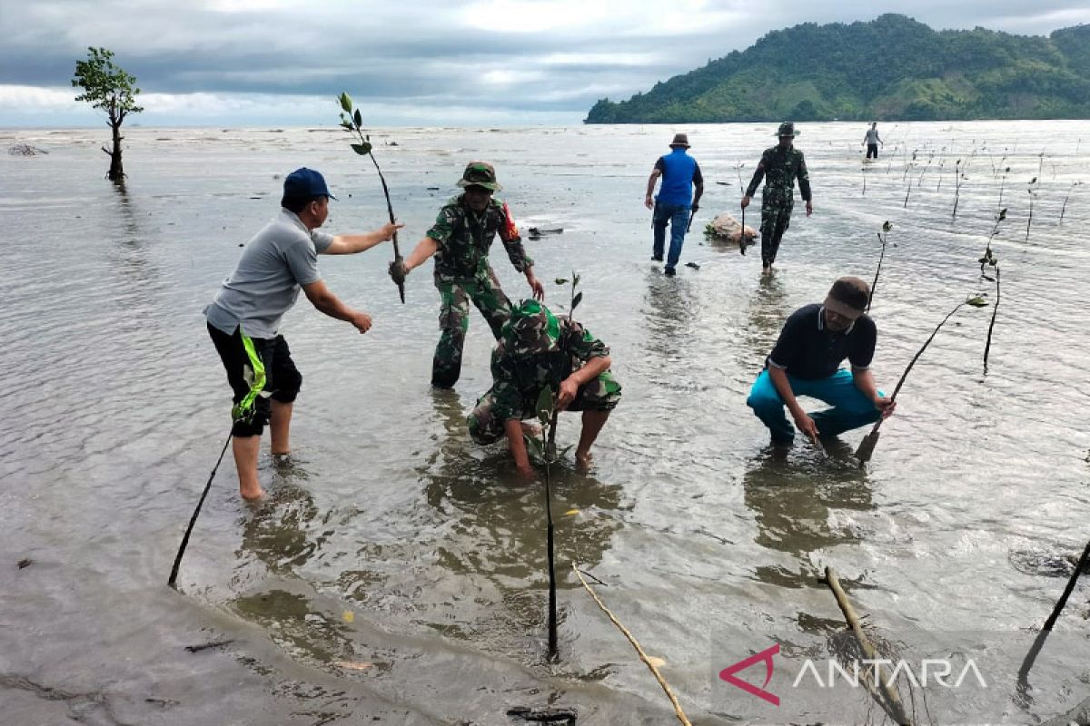 Wilayah pesisir di Gorontalo ditanami mangrove oleh TNI AD