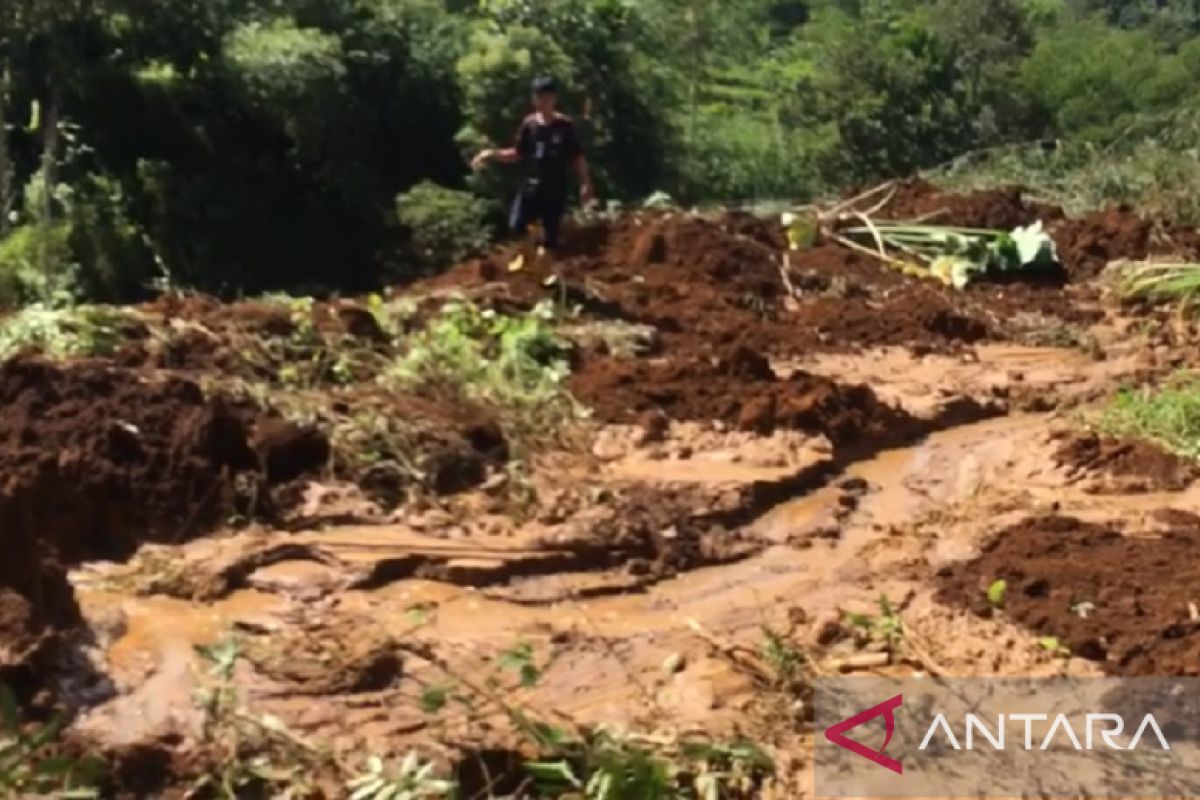 Longsor timbun puluhan petak sawah di Kampung Pasirjenjeng Sukabumi pada Sabtu