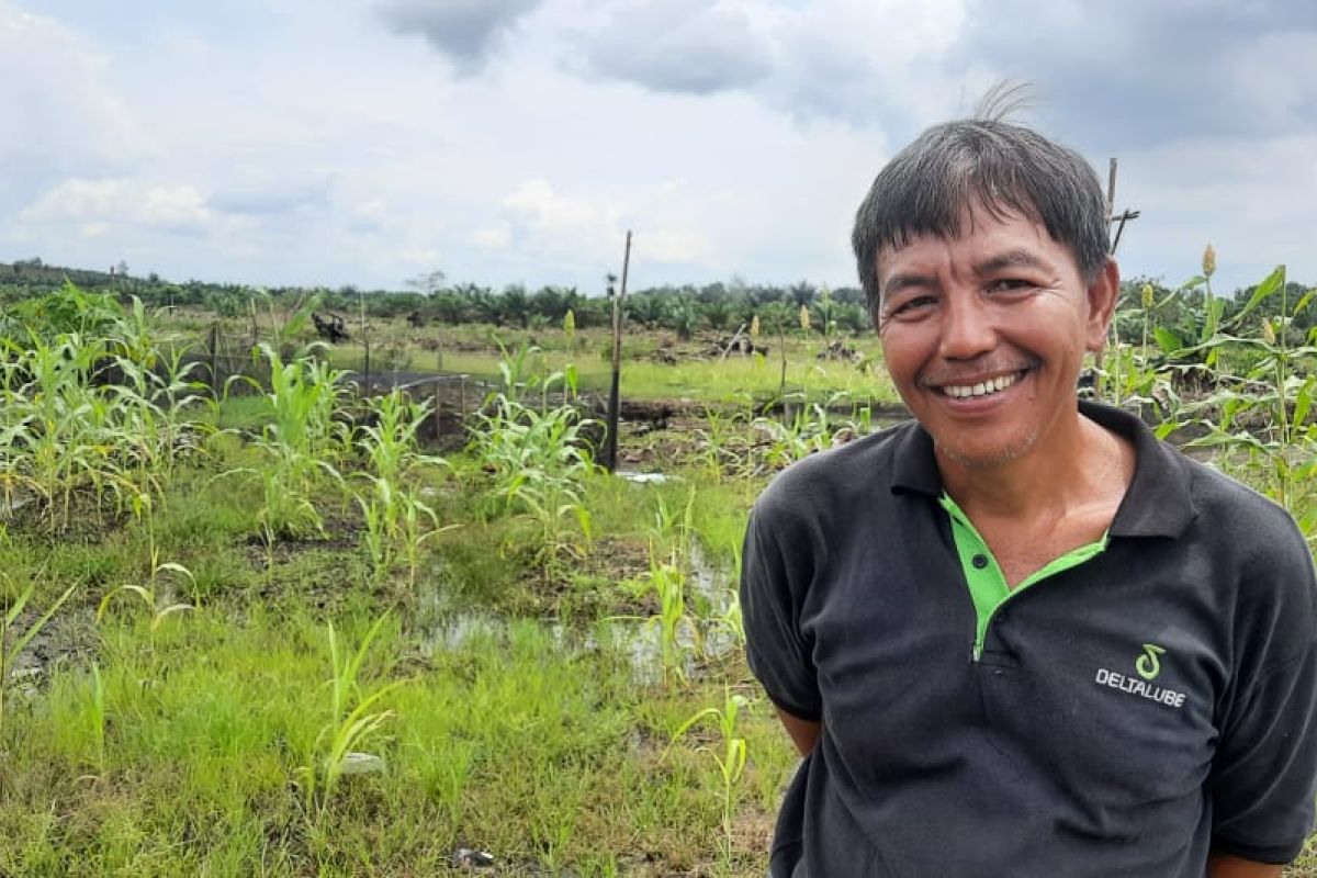 Kisah Alex, seorang petani terintegrasi di tengah maraknya perkebunan sawit di Siak