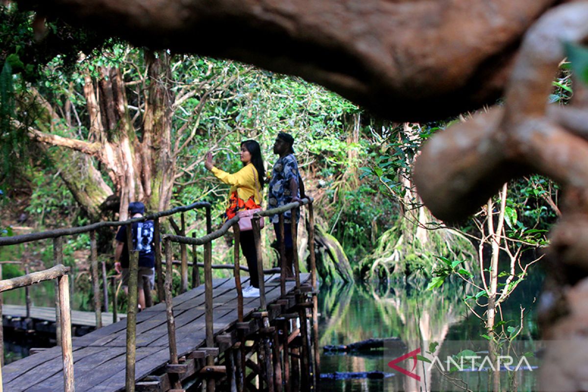 Asita Papua berharap wisata berbasis lingkungan dibimbing pemerintah