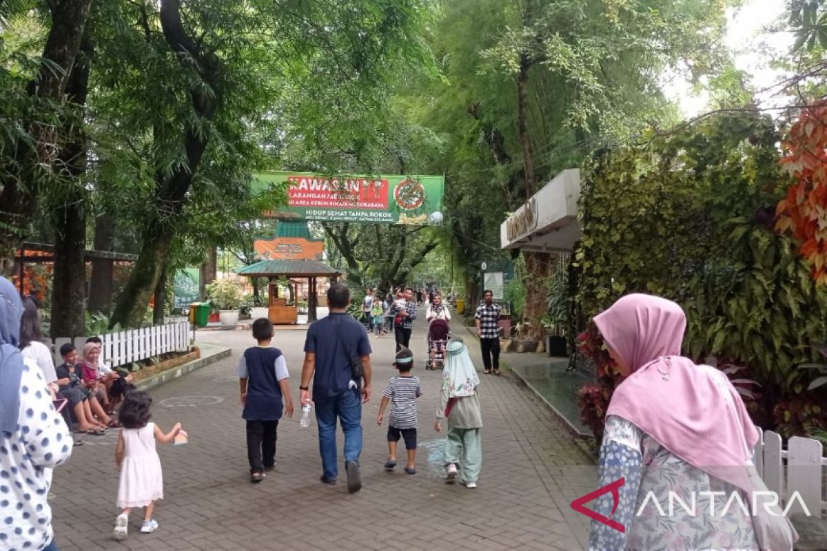 Kebun Binatang Surabaya pemetaan area "night zoo"
