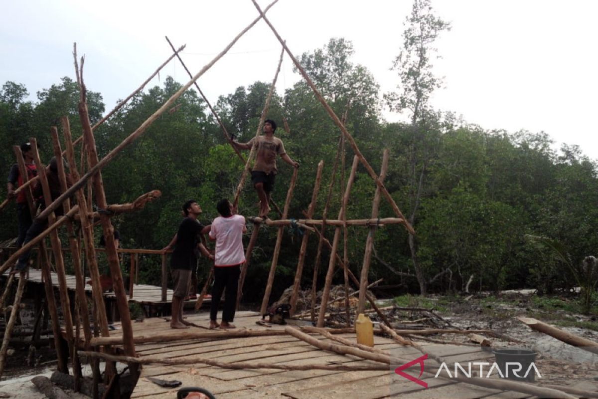 Merawat karbon biru di pesisir Tanjungpunai