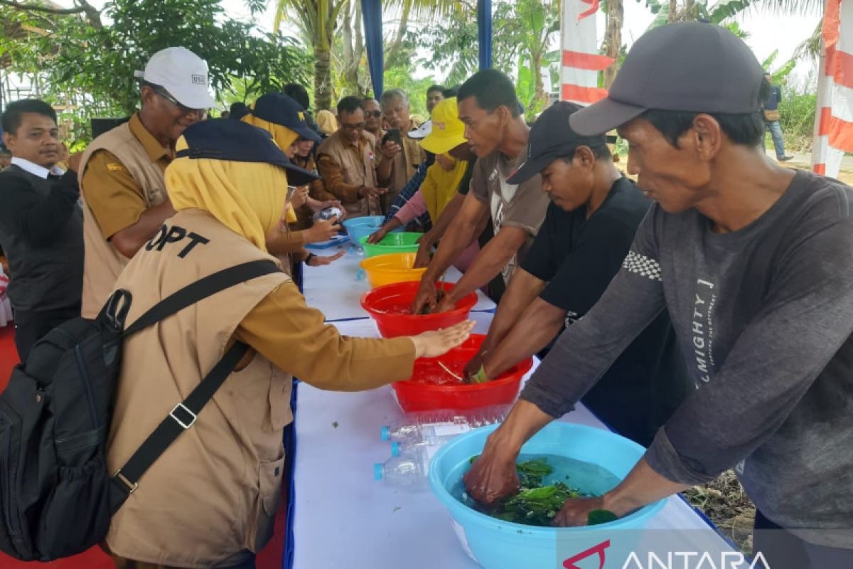 West Kalimantan gov't encourages farmers to make their own fertilizers