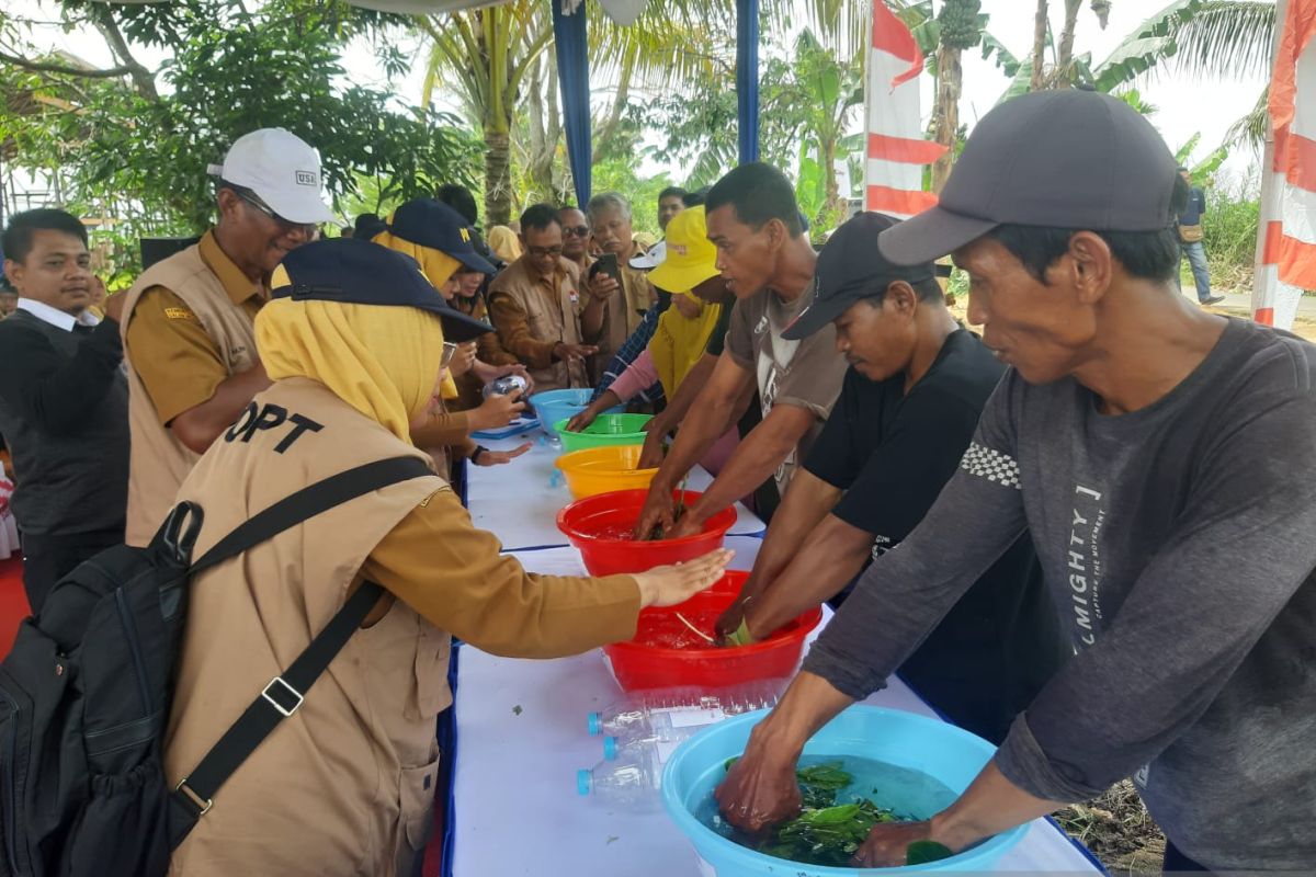 West Kalimantan gov't encourages farmers to make their own fertilizers