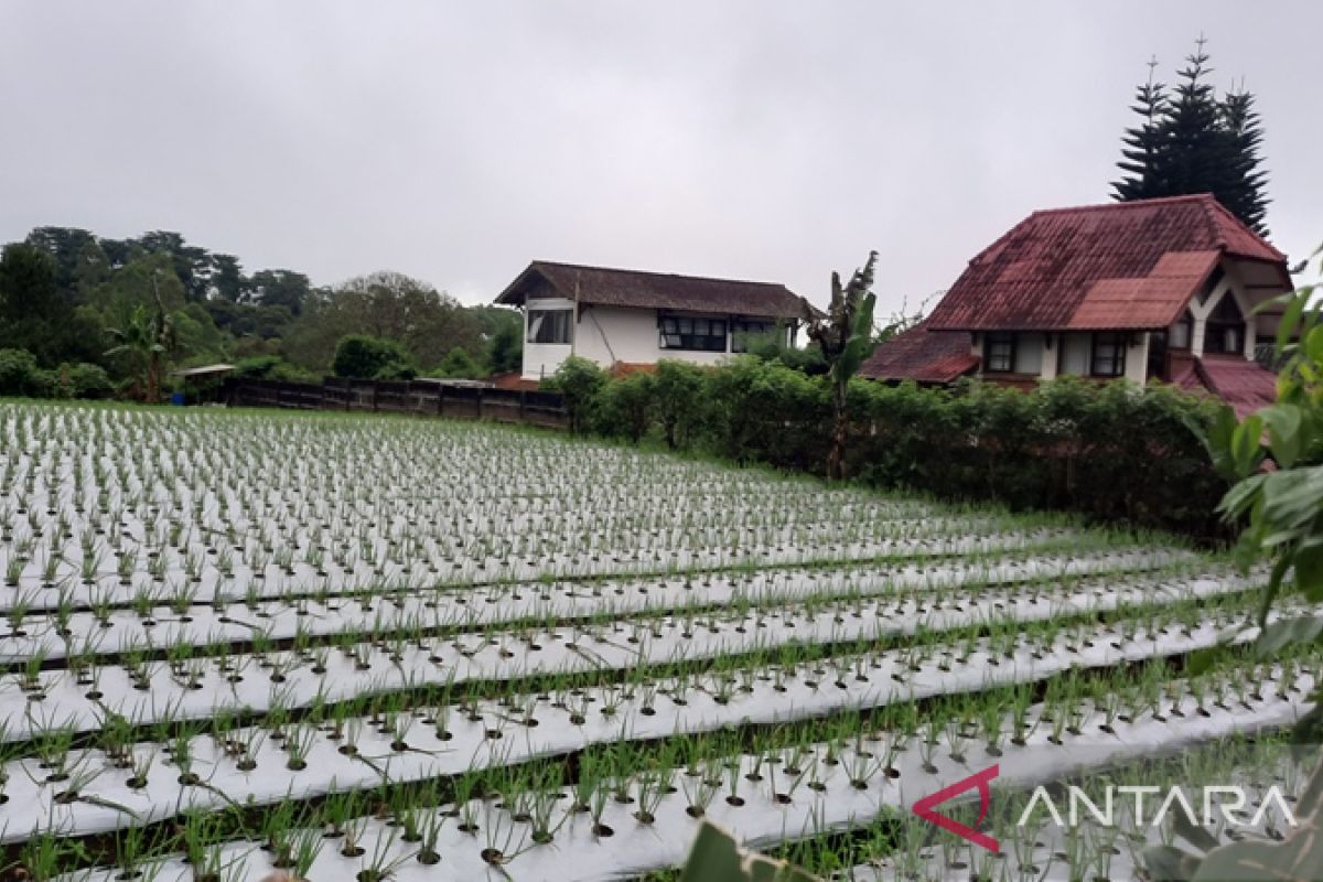 BPS Depok gelar sensus pertanian Juni-Juli 2023