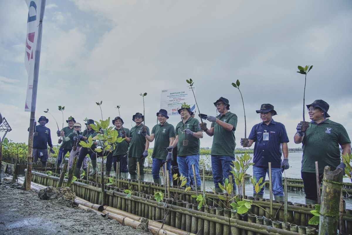 BNI dan BNI-AM tanam 2.000  bibit mangrove di Teluk Benoa Bali