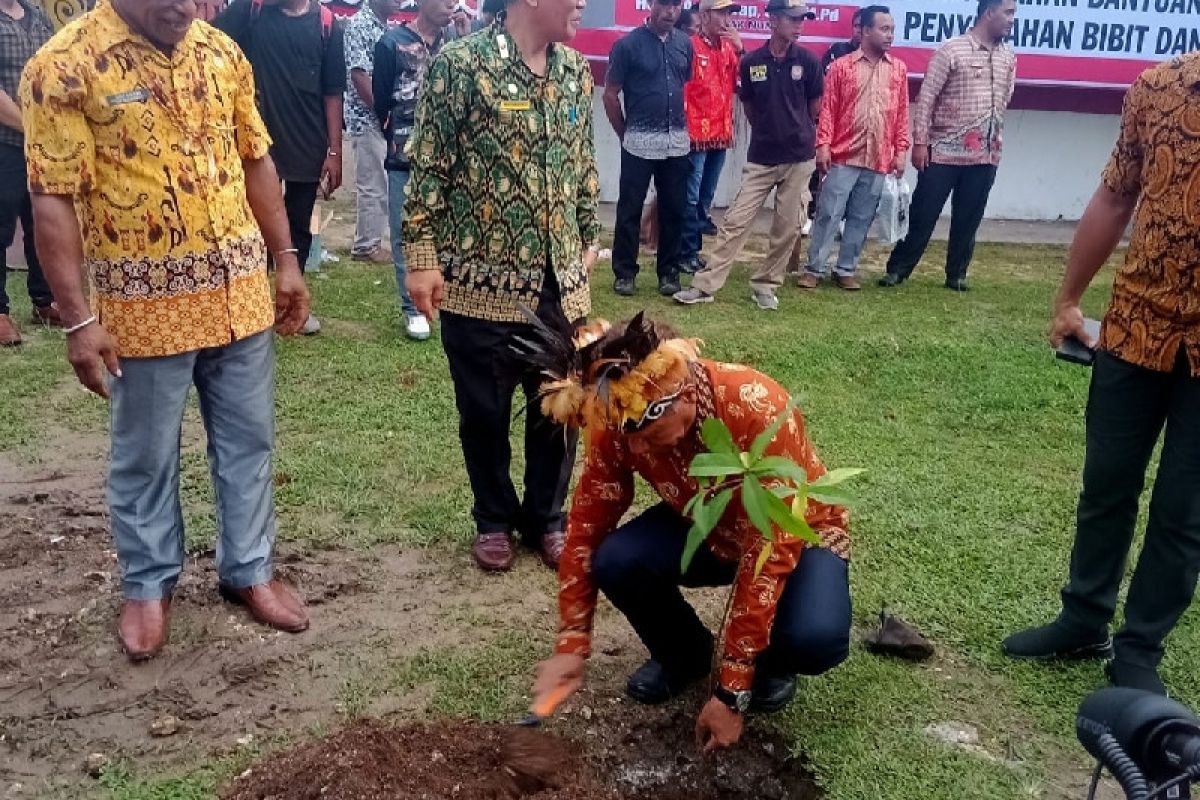 DLH Biak Numfor lakukan penghijauan tanam pohon lindung Sasurep